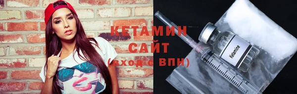 шишки Арсеньев