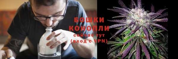шишки Арсеньев