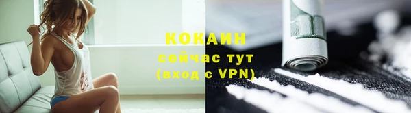 шишки Арсеньев