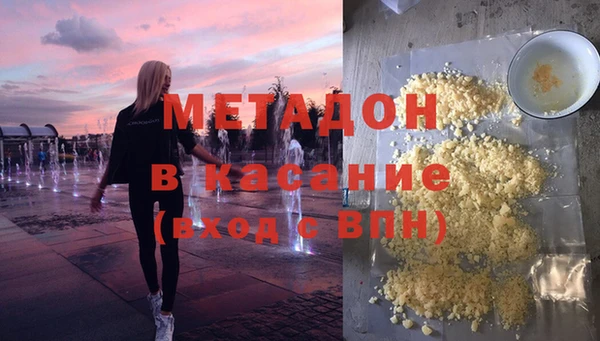 шишки Арсеньев