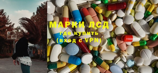шишки Арсеньев