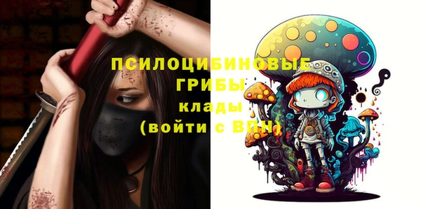 хмурый Армянск