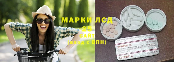 шишки Арсеньев