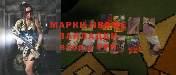 шишки Арсеньев